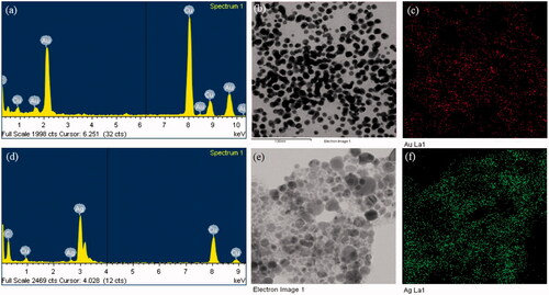 Figure 3. EDX spectrum of gold nanoparticles (a), elemental mapping: electron micrograph region of gold nanoparticles (b), distribution of gold element (c). EDX spectrum of silver nanoparticles (d), elemental mapping: electron micrograph region of silver nanoparticles (e), distribution of silver element (f).