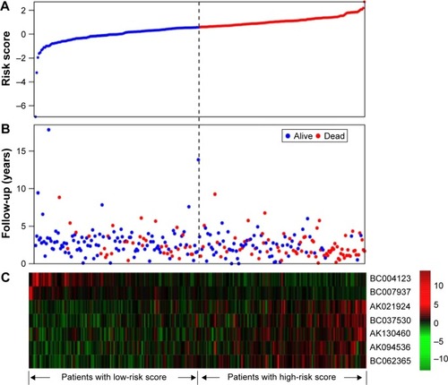 Figure 4 lncRNA risk score analysis of the GSE9891 patients.