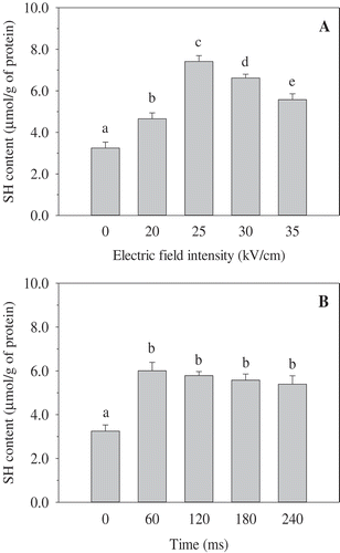 Figure 3. Effect of PEF treatment on the free SH content of OVA. A: PEF treatment time was 120 μs; B: PEF electric field intensity was 35 kV/cm. Means with different letters (a−e) in the bars are significantly different (p < 0.05).