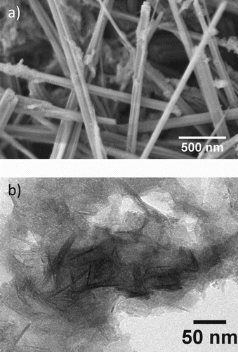 Figure 1. The (a) SEM image of GaOOH and (b) TEM image of Al0.5Ga0.5OOH.