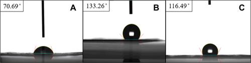 Figure 4 Measured contact angles. (A) PLGA/ketorolac nanofibers, (B) sheath-core structured PLGA/hEGF nanofibers, (C) PLGA/vancomycin/ceftazidime nanofibers.