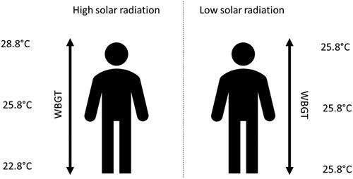 Figure B1. Wet-bulb globe temperature (WBGT) at different body levels (i.e. head, waist, feet) in the high and low solar radiation conditions.