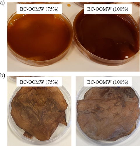 Figure 6. BC pellicles obtained from OOMW media a) wet form and b) dry form.
