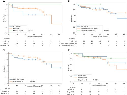 Figure S1 Power of different prognosis biomarkers.Notes: (A) MSI/POLE status divides patients into three groups: POLE, MSI, and POLE/MSI. The difference of patients’ survival is not significant. (B) MSI/BRAF status divides patients into three groups: MSI, MSS/BRAF-wild-type, and MSS/BRAF-V600E. The difference of patients’ survival is not significant. (C) Patients were divided into high TMB and low TMB groups by median(as 40 mut/Mb). The difference of patients’ survival is not significant. (D) Hypermutated patients were not comply the traditional TNM stages.Abbreviations: MSI, microsatellite instability; MSS, microsatellite stable; TMB, tumor mutational burden.