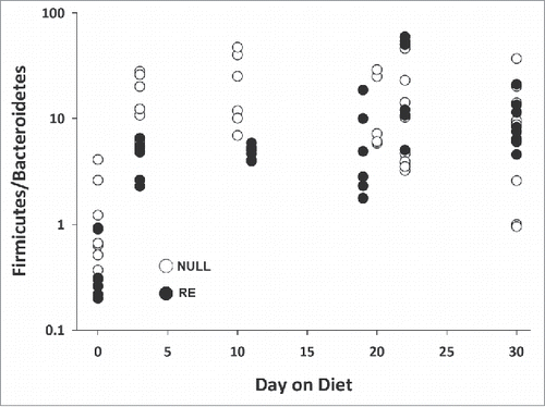Figure 5. Firmicutes-to-Bacteroidetes abundance ratio increases with time on HF diet. Empty circles, nulliparous (NULL) rats; full circles, reproductive experience (RE) rats.