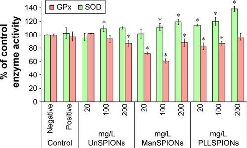 Figure 5 Effect of SPIONs with different surface coating on the activities of GPx and SOD in neural stem cells after 4 hours of exposure.Notes: The data, expressed as the mean of three independent experiments conducted in five replicates, were calculated as percentages of the values measured in negative controls (cells in nanoparticle-free exposure media). Positive controls represent cells treated with 100 μM of hydrogen peroxide. Error bars represent standard deviation. *P<0.05 compared with control.Abbreviations: SPIONs, superparamagnetic iron oxide nanoparticles; UnSPIONs, uncoated SPIONs; ManSPIONs, D-mannose-coated SPIONs; PLLSPIONs, poly-L-lysine-coated SPIONs.