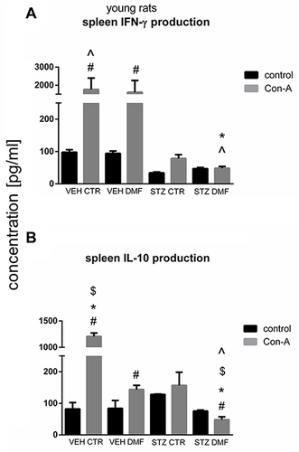 Figure 5 Concanavalin (Con) A-stimulated splenocyte mononuclear cell (SMC) production of interferon (IFN)-γ (A) and interleukin (IL)-10 (B) in young rats subjected to dimethyl fumarate (DMF) or control therapy (CTR) initiated on day 0 (0.4% DMF or standard rat chow) and intracerebroventricular injection of streptozotocin (STZ) or vehicle (VEH) on days 2 and 4.