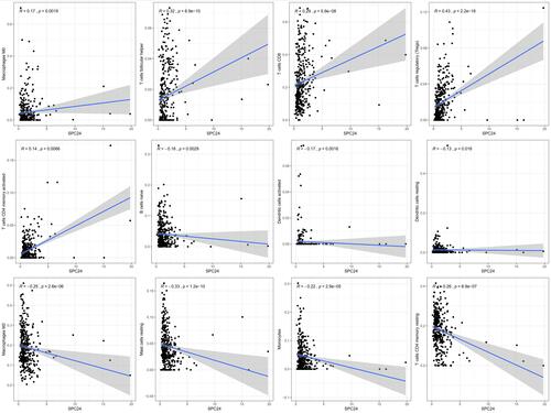 Figure 10 Scatter plot showed the correlation of 12 kinds of immunocytes infiltrated proportion with the SPC24 expression.