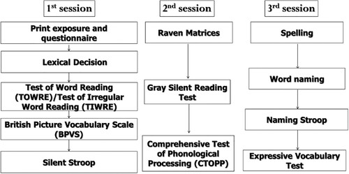 Figure 1. An overview of the three experimental sessions. From “Phonological precision for word recognition in skilled readers,” by M.M.Elsherif, L.R.Wheeldon, and S.Frisson, 2022, Quarterly Journal of Experimental Psychology, 75(6), p. 1025. CC BY-NC-ND.