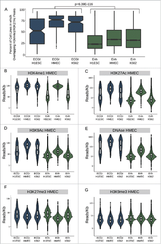 Figure 3. ECGI are more widely active than CpG-poor enhancers A) Distribution of the percent of analyzed cell lines (n = 120) in which the loci in each class exhibit enhancer activity (overlap an annotated H3K4me1/H3K27Ac peak in that cell type). B-G) Distribution of the ChIP-seq or DNase-seq tag density (reads/kb) for the indicated chromatin feature as measured in HMEC cells (ENCODE) among ECGI or classical enhancers active in the indicated cell type.