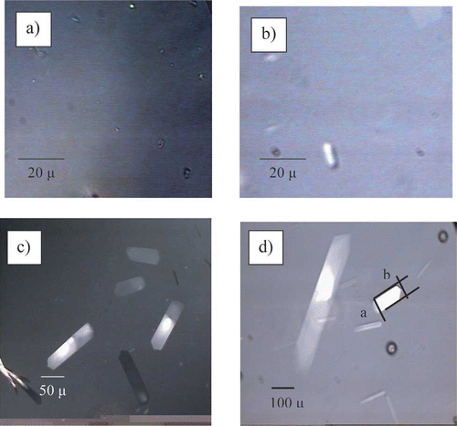 Figure 2 Evolution of the crystal habit in sample 1 (16.3% moisture) during storage. a) 4 weeks (1000X); b) 6 weeks (1000X); c) 8 weeks (400X); and d) 10 weeks (200X).