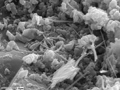 Figure 7 Secondary electron image of mortar fracture surface showing carbonate and silicate phases on the edge of a sand grain (bottom left of image).