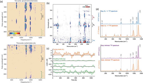 Figure 5. (a) Wavelength-resolved impulsive Raman map of a TIPS-pentacene film obtained from two-pulse, pump-probe, experiment (top) and three-pulse, pump-dump-probe, experiment (bottom). As can be seen in the bottom panel, a dump pulse controls the excited-state population so that the subtraction of VCs in the GSB region could be effectively conducted. Adapted from [46], copyright 2015 Springer Nature. (b) Wavelength-resolved impulsive Raman map of a DP-Mes thin film obtained by the two-pulse IVS experiment. (c) Simulation results showing projected total time-dependent mode displacements for all vibrations classified by their symmetry. Displacement amplitudes for A2, B1 and B2 modes are ~200-fold smaller than for A1 modes. (d) Comparison between experimental and calculated impulsive Raman spectra in the case of S1 → 1TT coherence transfer (top) and direct coherence generation on the 1TT PES (bottom). Adapted from [127], licensed under a Creative Commons Attribution 4.0 International License