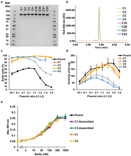 Figure 2. Detailed characterization of the selected FAST-Ig variants (a) the efficient interchain disulfide bond formation of BsAbs with FAST-Ig mutations was confirmed by non-reducing SDS-PAGE analysis. 2.5 µg BsAb/lane was applied onto Mini-Protein TGX gel 4–20% (Bio-Rad) and stained by Quick-CBB (Wako). (b) Size exclusion chromatography confirmed the same high level of monomer ratio of BsAb (about 150 kDa) among all selected FAST-Ig variants. The antibodies purified by protein A were used for the analysis. (c) Detailed analysis of the BsAb yield of parent and FAST-Ig variants (C1-C4). The antibodies were expressed by changing the plasmid mass ratio of L1 and L2 while H1 and H2 were fixed at 1:1 (Total plasmid amount was fixed as 1 µg for 1 mL Expi293F transient expression). Data was obtained from three independent experiments and are expressed as mean ± SD. Data could not be obtained in C4 with L1:L2 = 1:8 ratio due to the low expression level. (d) Antibody yields after protein A purification were compared among parent and BsAbs with FAST-Ig mutations (C1-C4) in the same expression condition as (c). Data was obtained from three independent experiments and are expressed as mean ± SD (e) NXT007 with different FAST-Ig variants showed FVIII-mimetic activity comparable to that of the parent and to BsAbs prepared using the in vitro re-constituting method, as confirmed by FIXa catalyzed FX activating enzymatic assay. The Y-axis indicates the absorbance at 405 nm of the chromogenic substrate assay. All the data were collected in triplicate and are expressed as mean ± SD. Parent and C1-, C3-assembled BsAb were prepared in ART-S3 format by in vitro re-construction in reduced condition using separately expressed monospecific antibodies, followed by desalting using dialysis cassettes. C1 and C3 were prepared in dKiHv14 format from four chain transfected single Expi293F cells, followed by protein A purification. BsAb yields of all antibodies were validated > 95% by CIEX. Data of C1 and C3 was not collected at 1000 nmol/L due to the insufficient concentration of the prepared antibody.