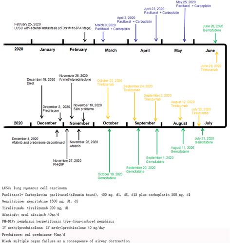 Figure 2 The timeline of the patient’s diagnosis and treatments.