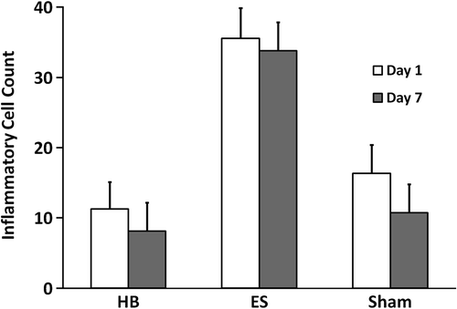 Fig. 4. Leukocyte inflammation measured via H&E staining. HB: Harmonic Blade, ES: Electrosurgery.