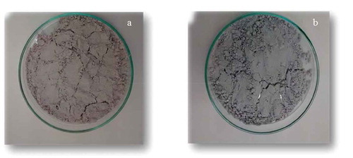 Figure 1. Native (a) and nanostructured starch (b).Figura 1. Almidón nativo (a) y nanoestructurado (b).