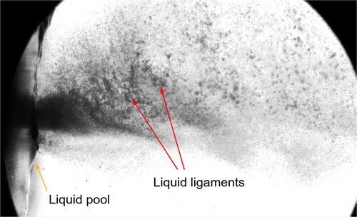 Figure 4. High resolution image of liquid slug ejection from Bespak actuator; HFA134a 50 ms.