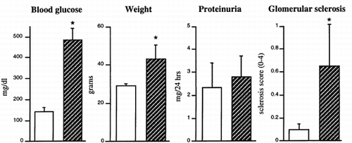 Figure 4. Measurement of changes in db/db mice at 5 mos. Protein excretion was the mean of 2 consecutive 24-hr urine collections. Mesangial sclerosis was scored on a scale of 0–4. (0, no lesion; 1 minimal mesangial expansion; 2, mesangial expansion and/or basement membrane thickening; 3, marked mesangial thickening, some collapsed lumina, occasional lobule with full sclerosis; 4, diffuse collapse of capillary lumina, and sclerosis involving 75% or more of the tuft) from PAS stained kidney sections (a total of 100–150 glomeruli per kidney). *Values are significantly different from control, p < 0.05. Open bars are control db/m and stripped bars are diabetic db/db mice.