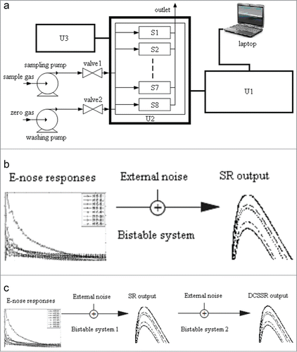 Figure 3. E-nose system: (a) systematic diagram; (b) SR; (c) DCSSR.