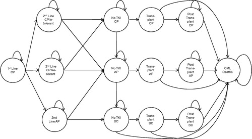 Figure 2. Schematic presentation of the Markov model structure for TKI treatment. Note, patients in CP/AP are not assumed to die from CML (unless post-transplant), but may die of non-CML mortality (not shown for readability).