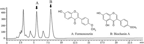 Figure 3. Representative HPLC chromatogram for RC-D. Eluent: ACN:water (60%:40%) acidified with 0.5% phosphoric acid at 1 ml/min detected at 254 nm. Arrows indicate peaks for formononetin (A) and biochanin A (B). Chromatogram of the standard of formononetin and biochanin A (inset).