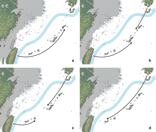 Figure 3. Four hypotheses explaining the initial maritime migration in the Palaeolithic Ryukyus. The estimated MIS 3/2 flow path of the Kuroshio (the thick blue line) follows Yang et al. (Citation2022).