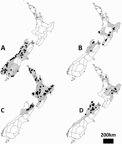 Figure 9. Species distributions and the Crosby regions (Crosby et al. Citation1976) in which each species is found (hatched areas). A, Hemiandrus maculifrons; B, Hemiandrus luna sp. nov.; C, Hemiandrus brucei sp. nov.; D, Hemiandrus nox sp. nov. Black dots are sampling sites.