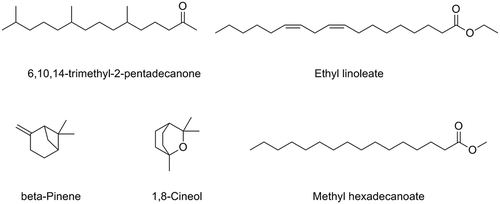 Figure 1. Chemical structures of the major volatile compounds in the essential oils of S. urmiensis.