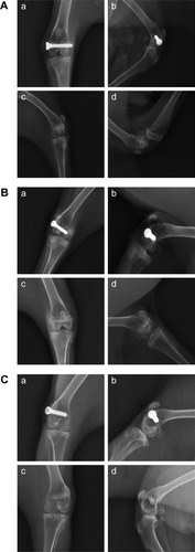 Figure 5 (A) The X-ray results at 4 weeks after surgery in the control group (a, anteroposterior view; b, lateral view) and in the experimental group (c, anteroposterior view; d, lateral view). (B) The X-ray results at 8 weeks after surgery in the control group (a, anteroposterior view; b, lateral view) and in the experimental group (c, anteroposterior view; d, lateral view). (C) The X-ray results at 12 weeks after surgery in the control group (a, anteroposterior view; b, lateral view) and in the experimental group (c, anteroposterior view; d, lateral view).