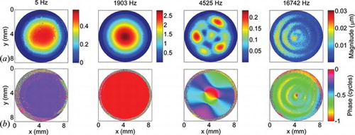 Figure 6 (a) Magnitude maps and (b) phase map of a vibrating membrane at different frequencies, covering the entire measurement range for our setup and this sample. The applied sound pressure values are 90 dB SPL for 5 Hz, 95 dB SPL for 1.9 kHz, 100 dB SPL for 4.5 kHz and 95 dB SPL for 16.7 kHz.