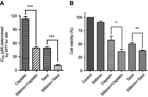 Figure 2 Silibinin sensitize the antitumor activity of cisplatin and/or taxol on A2780/cisplatin-resistant (A2780/DDP) human ovarian carcinoma cells. (A) The IC50 values of cisplatin, silibinin plus cisplatin, taxol and silibinin plus taxol on A2780/DDP cells, the values were determined by MTT assay after cisplatin, or silibinin plus cisplatin, or taxol, or silibinin plus taxol treated for 48 h. (B) The A2780/DDP cells were treated with silibinin (50 μM), cisplatin (115 μM), taxol (50 μM) and silibinin (50 μM) plus cisplatin (115 μM) and/or taxol (50 μM) for 48 h, and then the cell viability was determined by MTT assay. The results were shown as the percentage of cell viability in control group. The Bar chart of all data represents mean ± SD of three independent experiments, *p<0.05, **p<0.01 and ***p<0.001 vs control group.