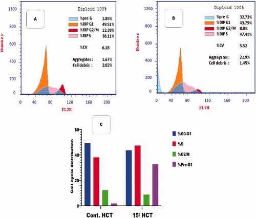 Figure 6. Flow cytometric analysis for cell cycle distribution. (A) Control HCT, (B) Compound 15, and (C) graphical representation for cell cycle distribution analysis among differently treated cells.