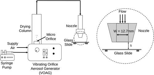 Figure 3. Schematic diagram of experimental setup.