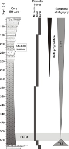 Fig. 2  Stratigraphic section inferred from core BH9/05. A general trend of the trace fossil diameters and system tracts is represented, together with the location of the interval analysed in this study (modified from Nagy et al. Citation2013). The following terms are abbreviated: highstand system tract (HST); transgressive system tract (TST); Palaeocene–Eocene Thermal Maximum (EPTM).