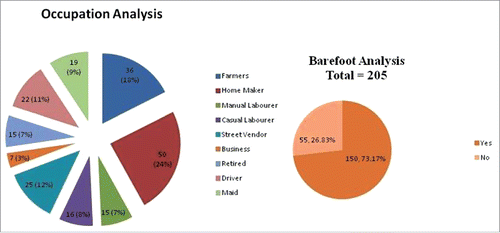 Figure 1. Occupation and barefoot analysis of study participants.