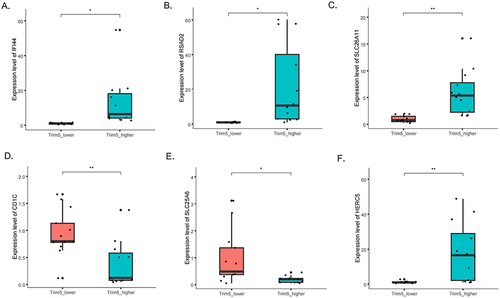 Figure 3 Expression of the top up-regulated and down-regulated genes. The gene expression levels of (A) IFI44, (B) RSAD2, (C) SLC26A11, (D) CD1C, (E) SLC25A6 and (F) HERC5 in TRIM5-higher and TRIM5-lower group of SLE patients. *P <0.05, **P<0.01 by Student’ t-test.