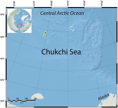 Figure 1. Map of the locations of the two sea ice campaigns conducted in August 2017 and August 2018. The yellow and white boxes correspond to the imaging areas of TerraSAR-X (TSX) in 2017 and TanDEM-X (TDX) in 2018, respectively. The black dots inside the boxes indicate the locations of the sea ice campaigns.