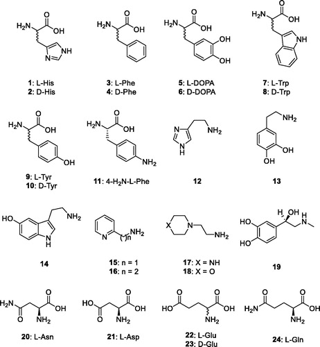 Figure 1. Amino acids and amines 1–24 investigated as activators.