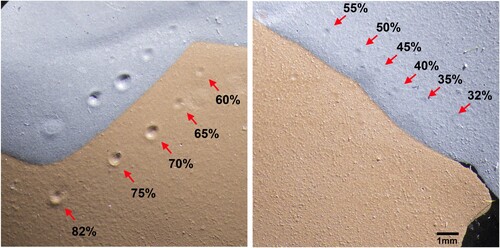 Figure 5. Micro-indentation at specific relative humidities. Detail, The Jungle Book, 1967. ©Disney Enterprises, Inc.