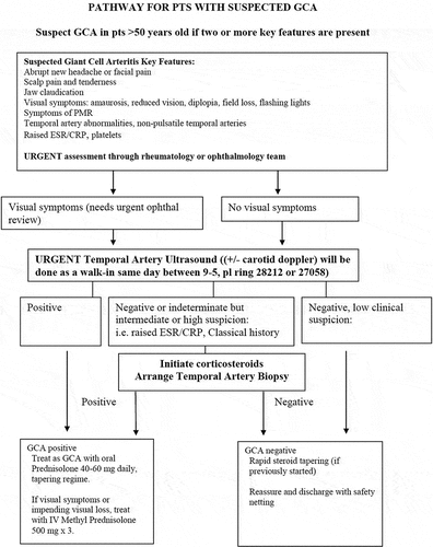 Figure 1. Coventry multidisciplinary fast-track pathway for giant cell arteritis (GCA). CRP, C-reactive protein; ESR, erythrocyte sedimentation rate; ophthal, ophthalmology; pts, patients; PMR, polymyalgia rheumatica; US: ultrasound.