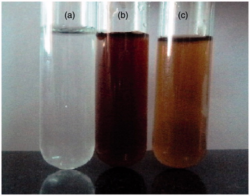 Figure 2. Synthesis of silver nanoparticles using T. ornata: (a) AgNO3. (b) Aqueous extract of T. ornata. (c) T. ornata- silver nanoparticles (To-AgNPs).