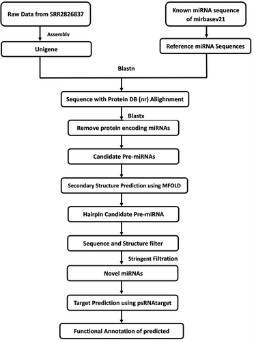 Figure 1. Schematic of the methodology used in this study.