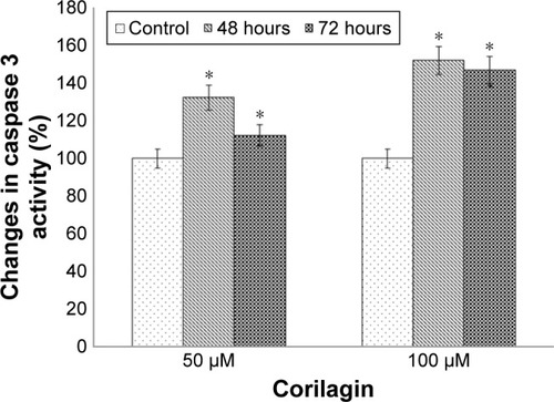 Figure 2 Effects of corilagin on caspase 3 enzymatic activity in SKOV3 cells.