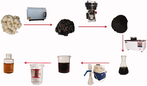 Figure 1. Flow diagram of preparation process of mulberry silkworm cocoon (MSC) extract and derived carbon dots (MSC-CDs).