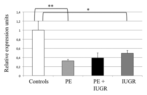 Figure 4. Real-time RT-PCR of ZFAT in human placentas. Expression of the ZFAT gene was compared between Controls (n = 17), IUGR (pregnancies with intrauterine growth restriction) (n = 16), PE (pregnancies complicated with preeclampsia) (n = 15) and PE + IUGR (n = 5), after normalization by the SDHA housekeeping gene. *p = 0,02, ** p = 0,002 in a group vs. the control group.