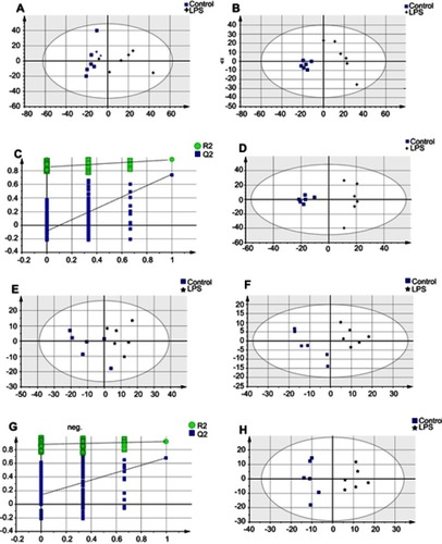 Figure 2 Multivariate statistical analysis between the LPS-induced depression and healthy Control groups at ESI+: (A) principal component analysis (PCA) scores plot; (B) partial least squares-discriminate analysis (PLS-DA) scores plot; (C) statistical validation of the PLS-DA model through 200× permutation testing; and (D) pair-wise orthogonal projections to latent structures discriminant (OPLS-DA) scores plot. Multivariate statistical analysis between the LPS-induced depression and healthy Control groups at ESI−: (E) PCA scores plot; (F) PLS-DA scores plot; (G) statistical validation of the PLS-DA model through 200×permutation testing; and (H) OPLS-DA scores plot.