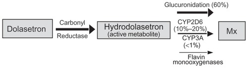 Figure 2 Metabolic pathways of dolasetron.Abbreviations: CYP2D6, cytochrome P450 2D6 isoform; CYP3A, cytochrome P450 3A isoform; Mx, metabolism.