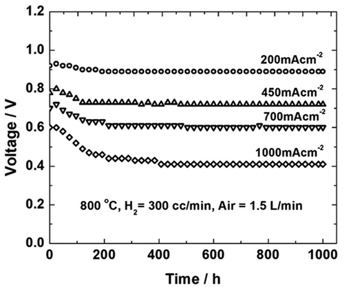 Figure 12. Voltage variation with time as a function of applied current density (Reproduced with permission from [Citation92])