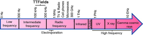 Figure 1. Frequency ranges of different applications across different frequency ranges. TTFields frequency falls in intermediate frequency range as indicated. Electroporation and more popular appliances such as TV, radio, cell phone and microwaves uses radio frequency range waves. Ionizing radiation frequency falls in the higher frequency range.